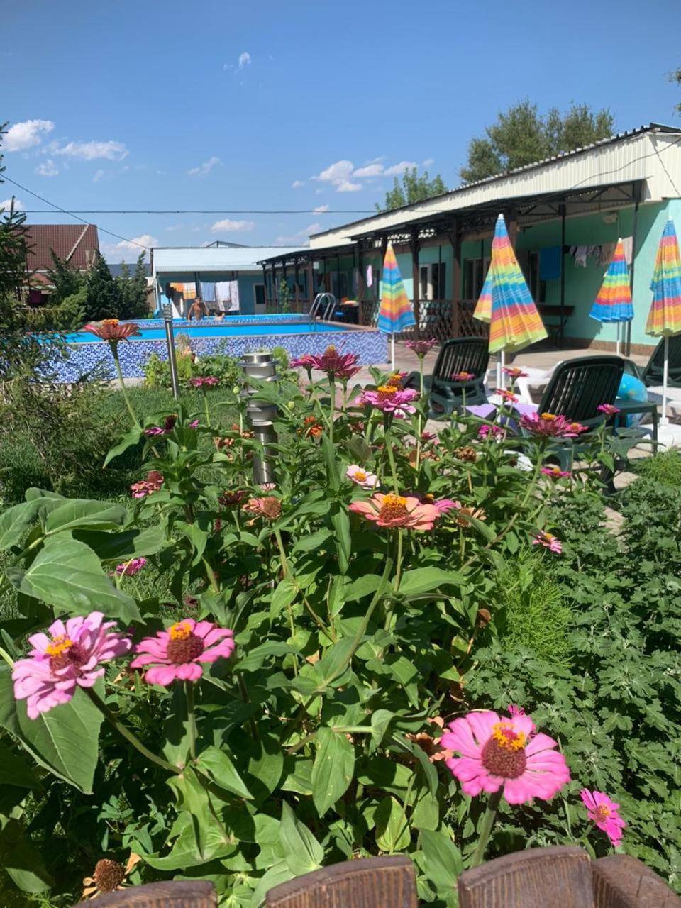 Malibu Guest House Kapčagaj Exteriér fotografie
